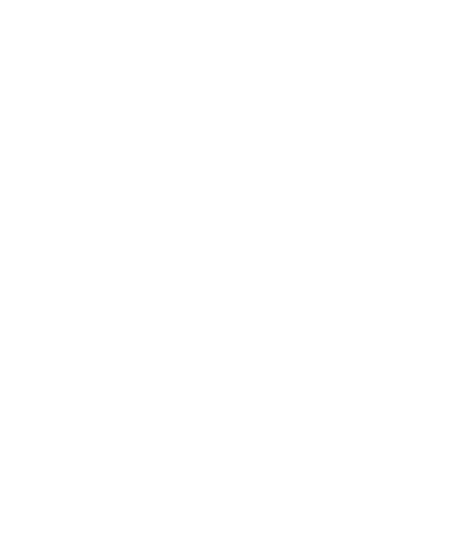 Icono Felino
